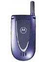 Best available price of Motorola V66i in Laos